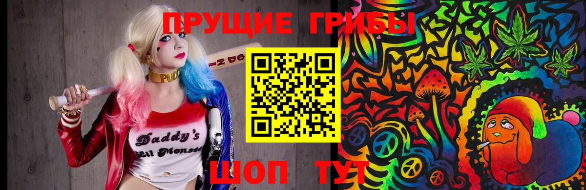Псилоцибиновые грибы ЛСД Салехард